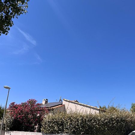 Villa Des Romieux Pinet  Εξωτερικό φωτογραφία